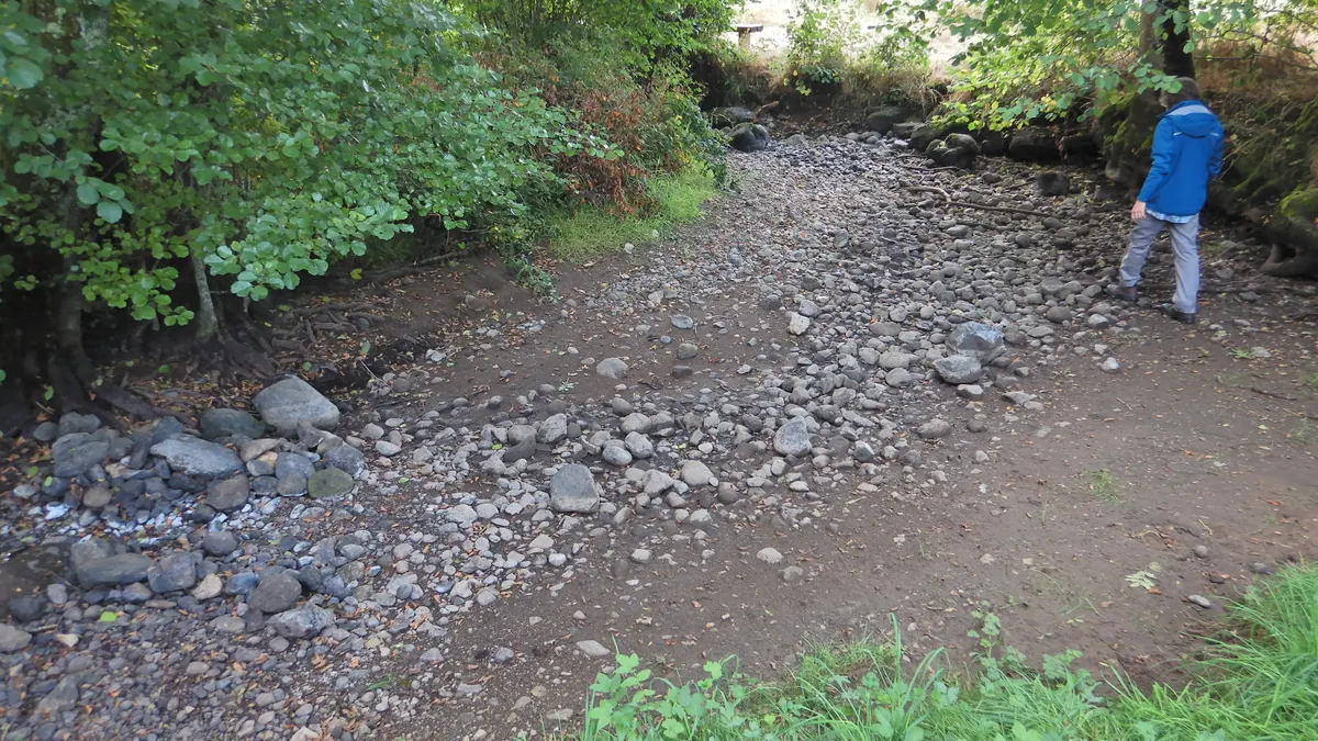 Le ruisseau de Cautrunes à sec l’été 2025