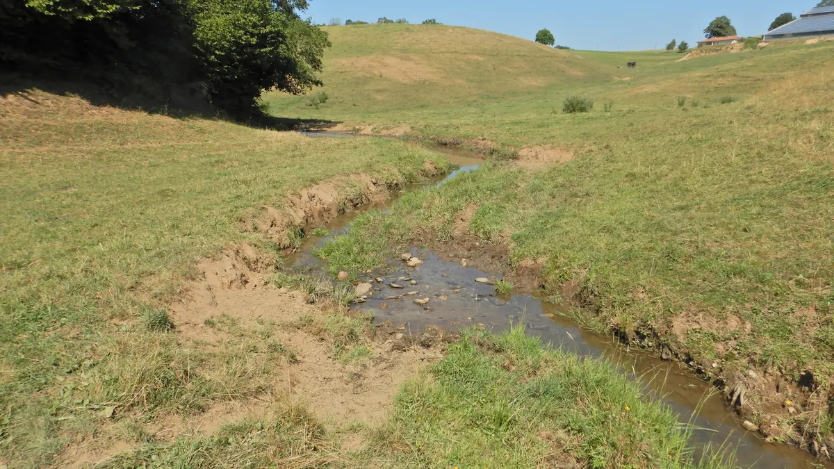 L’accès libre au cours d’eau pour le bétail et l’absence de végétation altère fortement les ruisseaux.